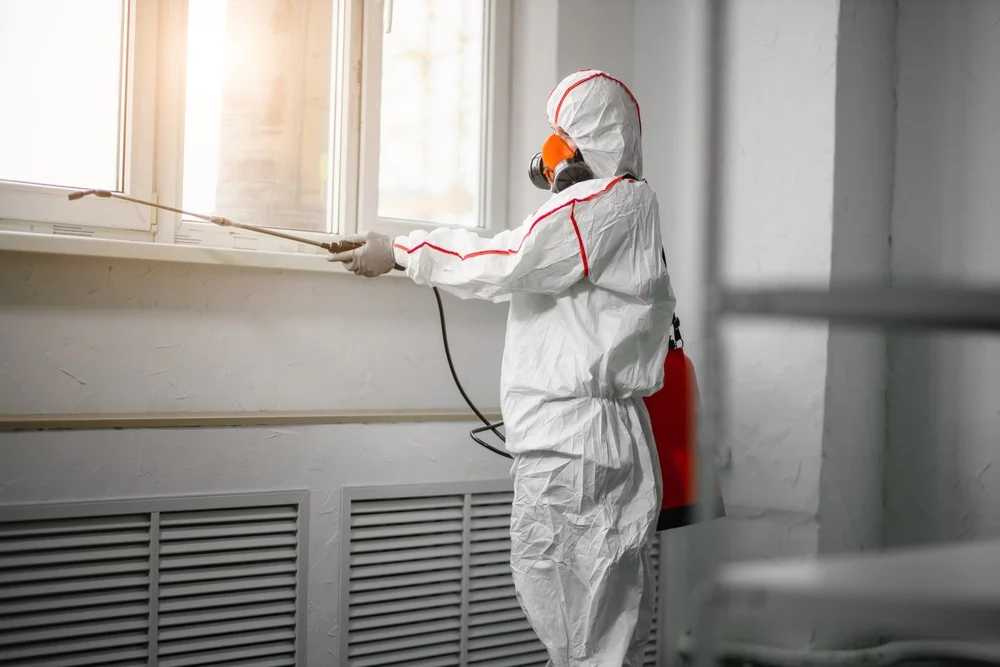 Professional mold remediation services in Bells, TX